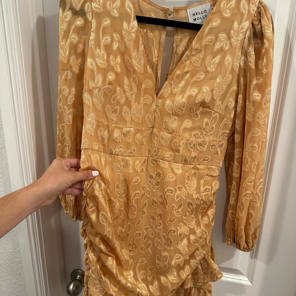 Hello Molly Champagne Floral Dress